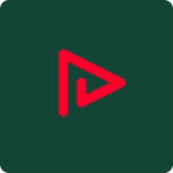 Playson logo